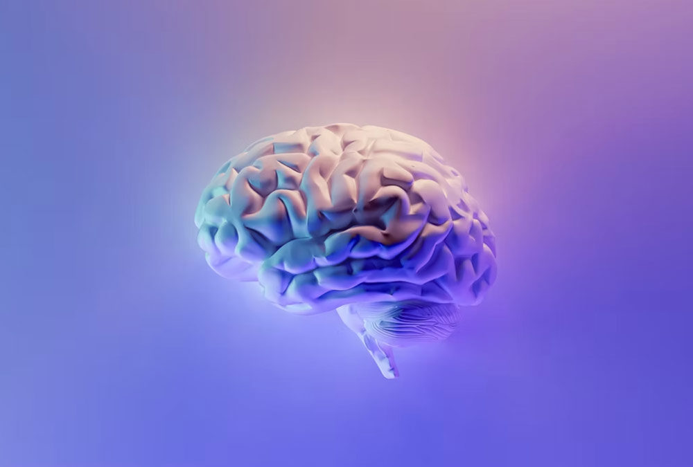 Autism Assessments Pretoria Screenings